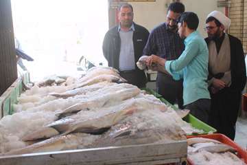 بازدید سرزده مدیرکل از بازار ماهی فروشان